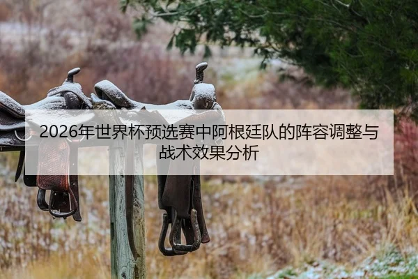 2026年世界杯预选赛中阿根廷队的阵容调整与战术效果分析