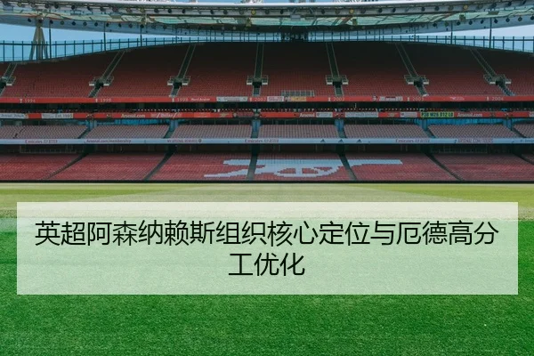 ying-chao-a-sen-na-lai-si-zu-zhi-he-xin-ding-wei-yu-e-de-gao-fen-gong-you-hua-2-773.jpg