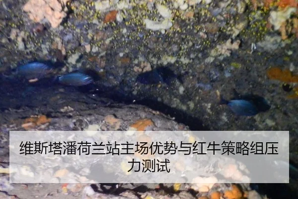 wei-si-ta-pan-he-lan-zhan-zhu-chang-you-shi-yu-hong-niu-ce-lve-zu-ya-li-ce-shi-2-618.jpg