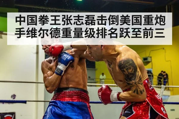 中国拳王张志磊击倒美国重炮手维尔德重量级排名跃至前三
