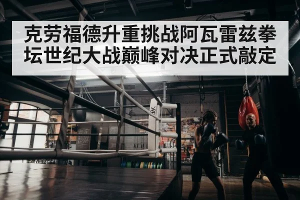 boxer training