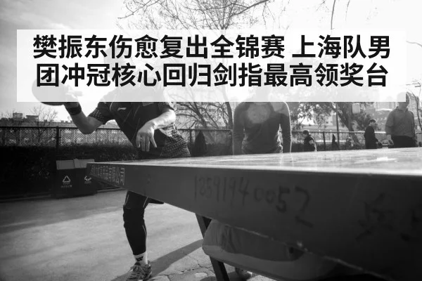樊振东伤愈复出全锦赛 上海队男团冲冠核心回归剑指最高领奖台